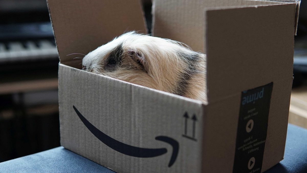 ¡Amazon Prime Day 2026 está aquí antes de lo esperado! Todo lo que necesitas saber