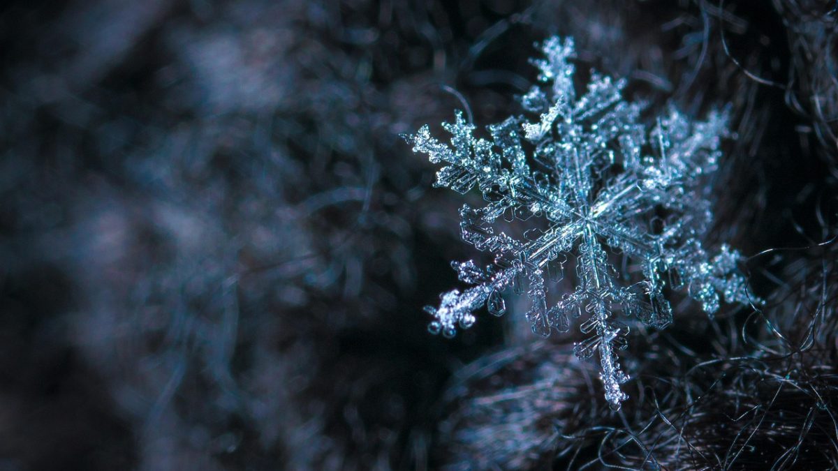 Hacker canadiense se declara culpable por el colosal asalto a Snowflake